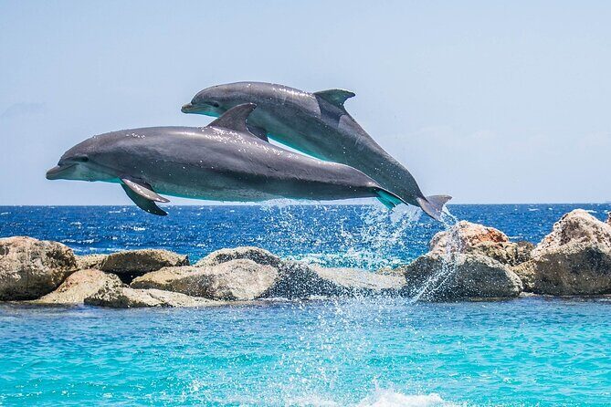2-Hour Dolphin Sunset Tour from Giardini Naxos - Where Your Sunset Starts: Giardini Naxos at 6:00 pm