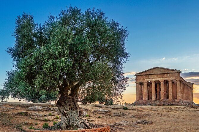 Agrigento; Valley of the Temples, Scala dei Turchi from Palermo, Private Tour - Should You Book This Private Agrigento, San Leone, and Scala dei Turchi Tour?