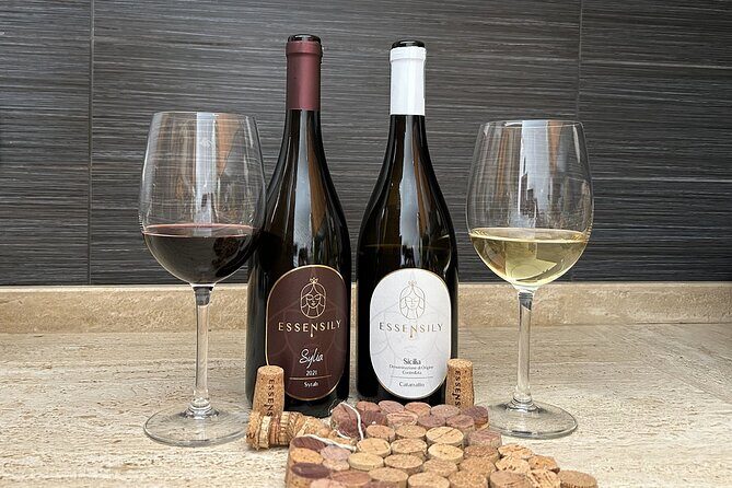 Balestrate Olive Grove Tour: Wine and Olive Oil Tasting - Who Should Book This (and Who Might Skip It)