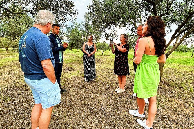 Balestrate Olive Grove Tour: Wine and Olive Oil Tasting - Practical Tips: Make It Easier on Yourself