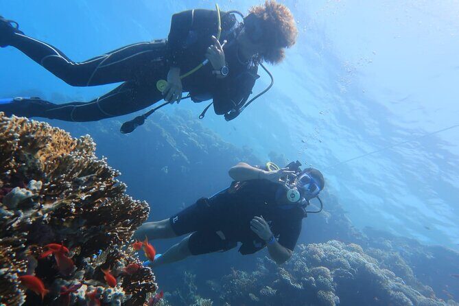 Basic Scuba Diver - Price and value: what you’re really paying for