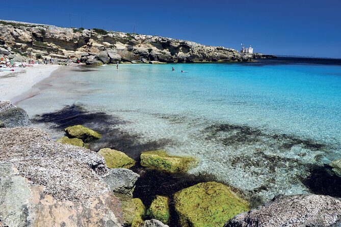 Boat tour Excursion from Trapani to Favignana and Levanzo 8 hours - Price and Value: Is $138.47 Reasonable for 8 Hours?