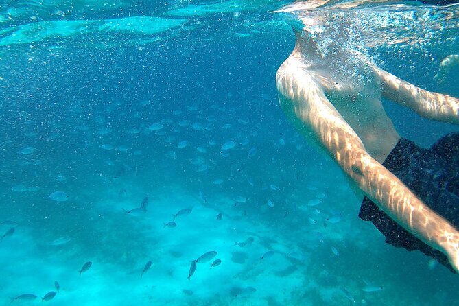 Boat tour Excursion from Trapani to Favignana and Levanzo 8 hours - Who This Tour Suits Best (and Who Might Prefer Something Else)