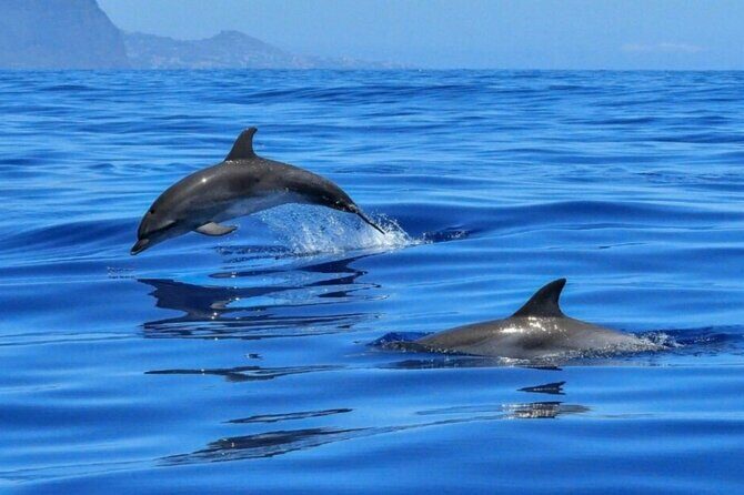 Boat tour Giardini Naxos Taormina Isola Bella Blue Grotto - Isola Bella: Why This Tiny Protected Island Has Such a Big Story