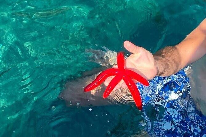 Boat tour Giardini Naxos Taormina Isola Bella Blue Grotto - Drinks and Sicilian Sweets: A Simple Touch That Changes the Mood