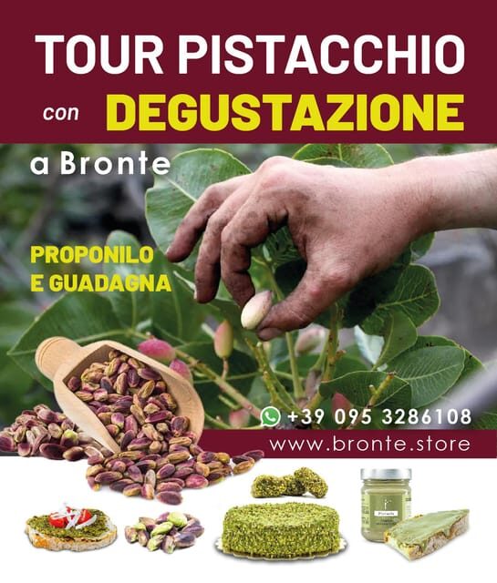 Bronte: Tour e degustazione nelle piantagioni di pistacchi - The second guided stop: history, harvesting, and production details