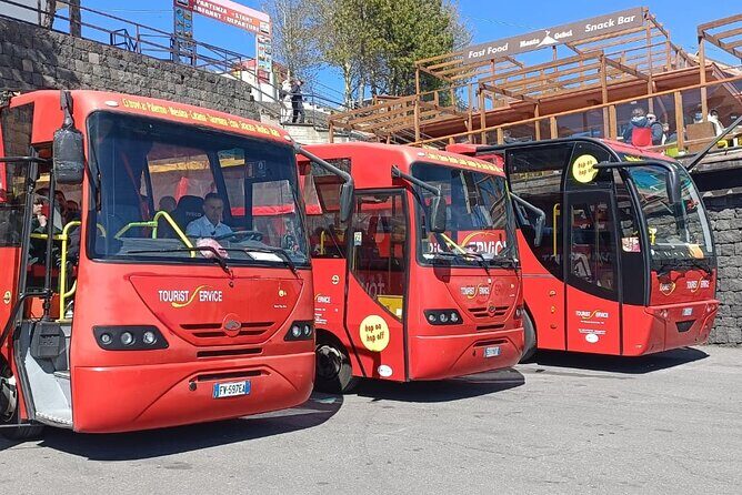 Bus Etna Experience of Italy - Who this bus tour suits best—and who should rethink it