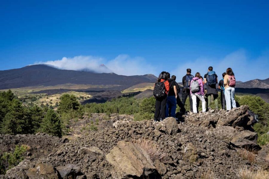 Catania: Amazing Etna Morning Tour with Pickup and Drop-Off - Grotta delle nevi: What a Lava Cave Adds to Etna