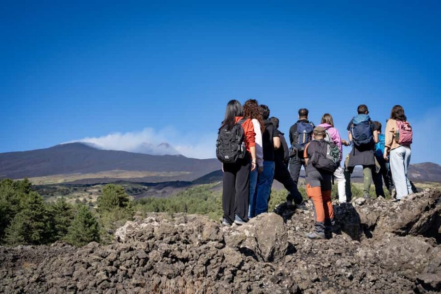 Catania: Amazing Etna Morning Tour with Pickup and Drop-Off - What the Guides Actually Teach (And Why It Changes the Experience)
