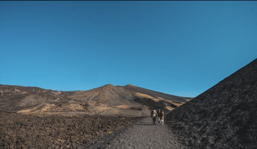 Catania: Etna Morning Excursion with Tasting and Pickup - Morning Pickup In Catania: Easy Starts, Real Scheduling
