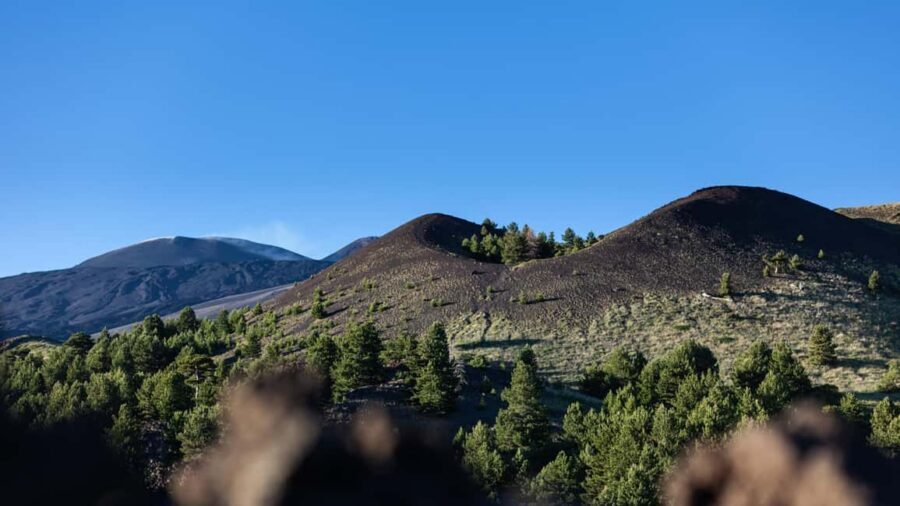 Catania: Etna Nature Tour with Hiking, Cave Visit, & Tasting - Choosing cable car vs trekking: how to decide quickly