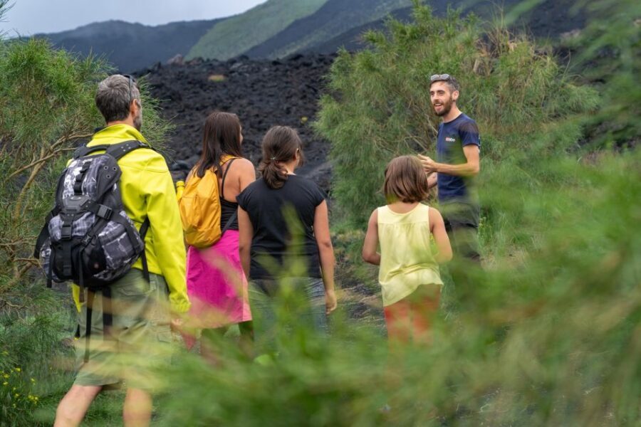 Catania: Etna Nature Tour with Hiking, Cave Visit, & Tasting - The farm tasting: honey, olive products, and wine that actually fits the day