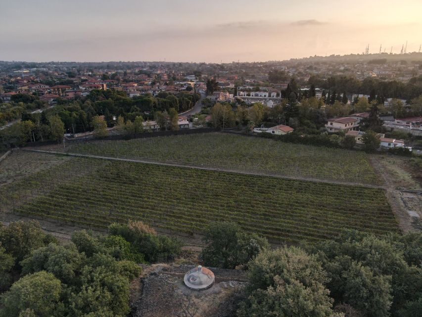 Catania: Etna Urban Winery Sicilian Lunch with Wine Tasting - Touring the 1790 Historical Family Winery Building