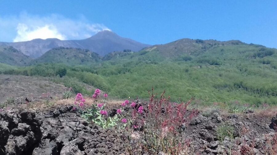 Catania: Mount Etna Sunset Tour and Etna Doc Wine - Key highlights at a glance