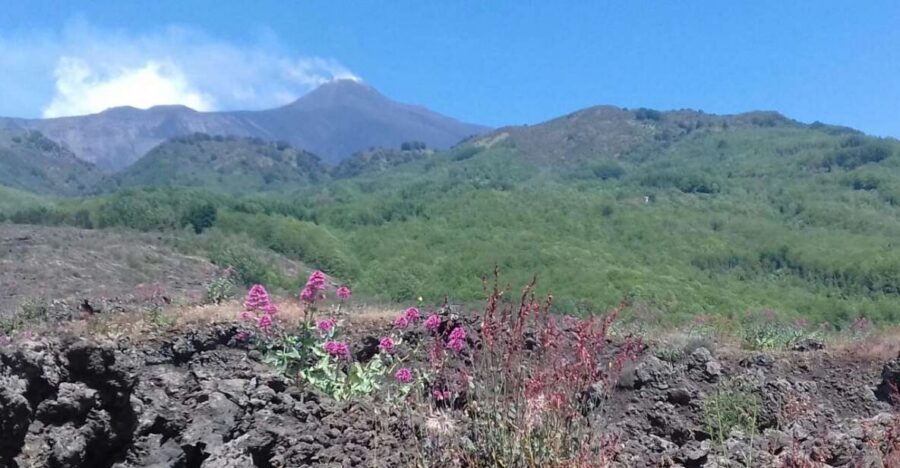Catania: Mount Etna Sunset Tour and Etna Doc Wine - Silvestri Craters near 2000m: why this stop feels lunar