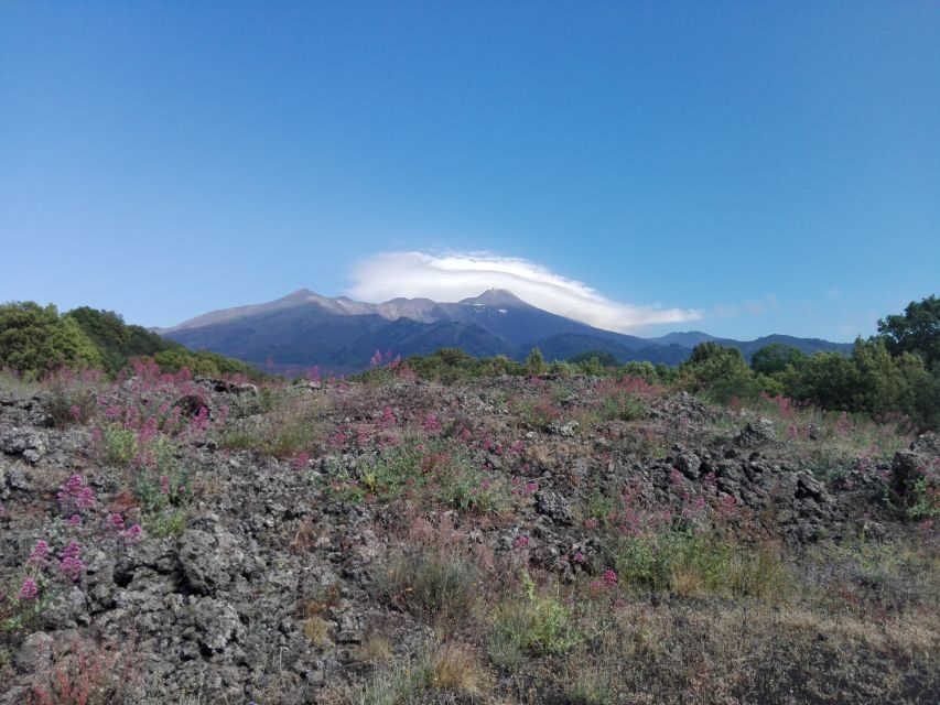 Catania: Mount Etna Sunset Tour and Etna Doc Wine - Price and value: what $79.30 buys you in real terms