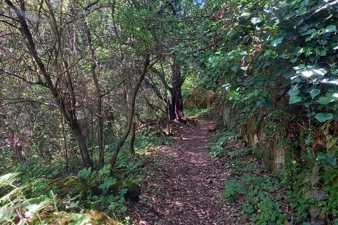 Cavagrande hiking tour - Cavagrande del Cassibile: why this canyon hike feels special