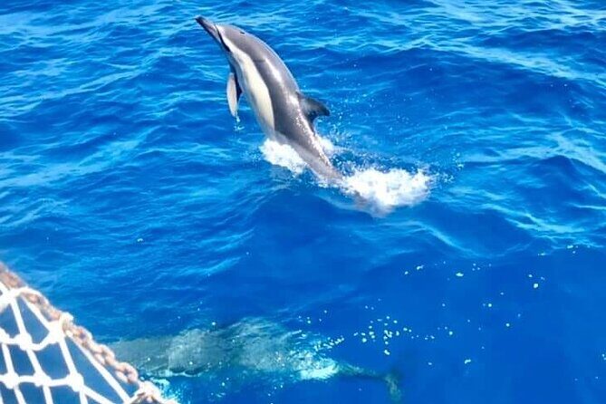 Classic Boat Tour in Palermo - Mondello Bay Swim Stop and Aperitivo: Where the Day Gets Fun