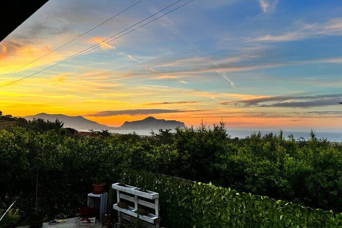 Cooking class in a villa with Palermo view - Hands-On Pasta and Cannoli: What You’ll Learn and Feel