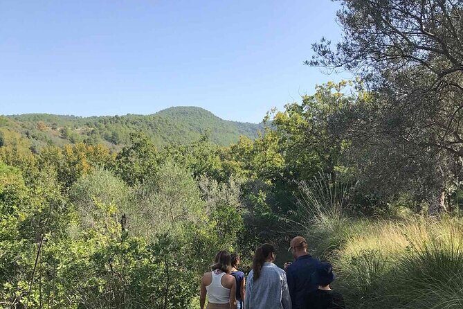 Cooking class in the countryside with Simona - Key things to know before you book