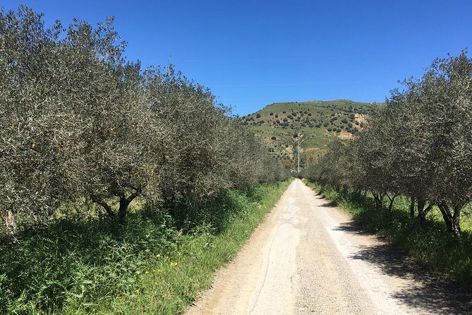 Daily Biking in the Rural Sicily - Return via Termini Imerese: closing the loop without stress