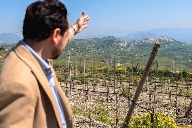 Di Giovanna Winery Tour & 3 Wine Tasting - Quick takeaways