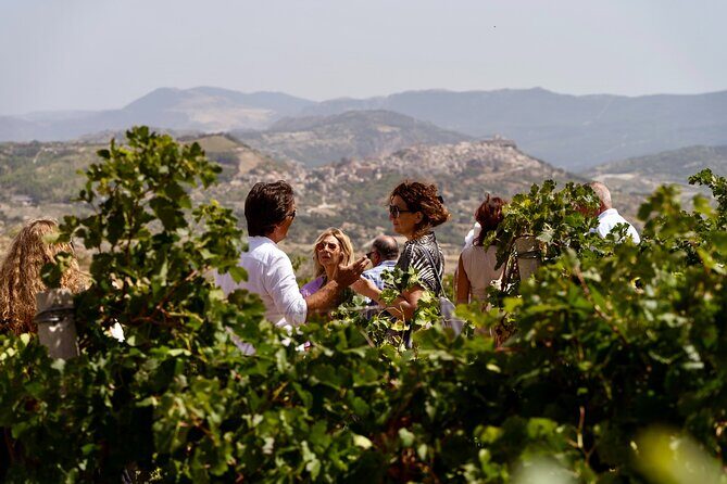 Di Giovanna Winery Tour & 3 Wine Tasting - The Guided Tour: Vineyard to Bottle in 90 Minutes
