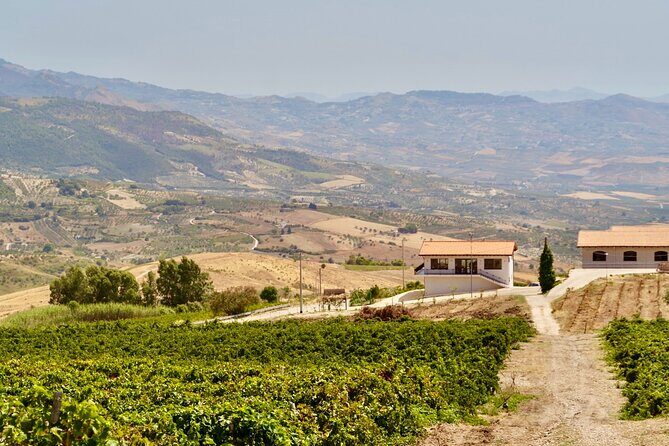 Di Giovanna Winery Tour & 5 Wine Tasting - The 5-wine tasting: Vurria and Helios, served with a plan