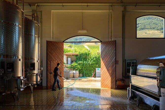 Di Giovanna Winery Tour & 5 Wine Tasting - Practical stuff that helps your visit go smoothly