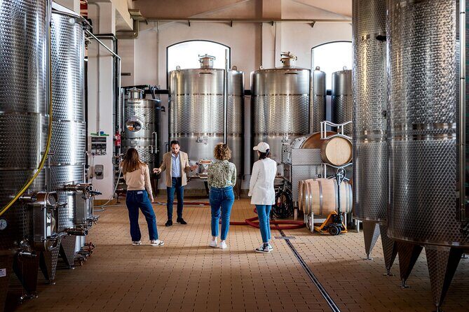 Di Giovanna Winery Tour & 5 Wine Tasting - Vineyard and cellar tour: what you’ll actually learn