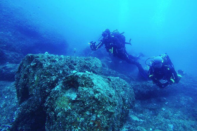 Diving for certified divers with PADI 5<em> Diving Resort – Taormina – Guides and crew: professional, multilingual, and safety-first’ /><br />
What stands out in the positive feedback is the way this center runs with professionalism and a strong safety culture. People describe <strong>thorough safety briefings</strong> for both the boat and the underwater/snorkeling parts of the day. That matters because good briefings are what prevent small mistakes from turning into big stress.</p>
<p><p>You’ll also see consistency in how they talk about equipment. Rental gear is described as <strong>well maintained</strong> and <strong>sanitized every day</strong>. Clean boats were mentioned too, including the presence of <strong>bathrooms onboard</strong>, which is a real comfort perk when you’re on the water.</p>
</p>
<p><p>Names show up in the praise, which gives you a sense of the team you may meet. In past experiences, staff members and guides included <strong>Viv/Vivianna, Swann, Filipi, Carmelo, Julien, Cilla</strong>, and others. The recurring theme isn’t just “nice people.” It’s that they communicate clearly, even when a group needs multiple languages. One review specifically praised staff switching languages so everyone could understand the sites and the day’s plan.</p>
</p>
<p><p>Another useful point: the crew is described as experienced in local underwater conditions. They’re said to adapt fast to weather, manage issues with humor, and know where wildlife tends to show up. That’s a practical advantage on Sicily’s coast, where conditions can change.</p>
</p>
<h2 id="price-and-logistics-where-the-value-comes-from-at-181-48">Price and logistics: where the value comes from at $181.48</h2>
<p><img width="669" height="446" decoding="async" src=