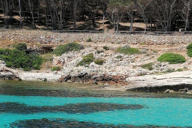 Egadi Islands Boat Tour: Favignana and Levanzo with Lunch - Sunset toast at Cala Fredda: music, panoramic views, and a slow finish