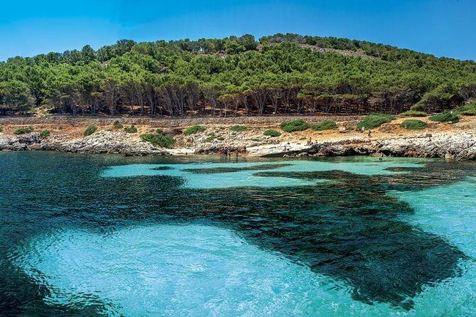 Egadi Sail Boat Tour to Favignana and Levanzo from Trapani - Price and value: is $139.13 per person a smart deal?