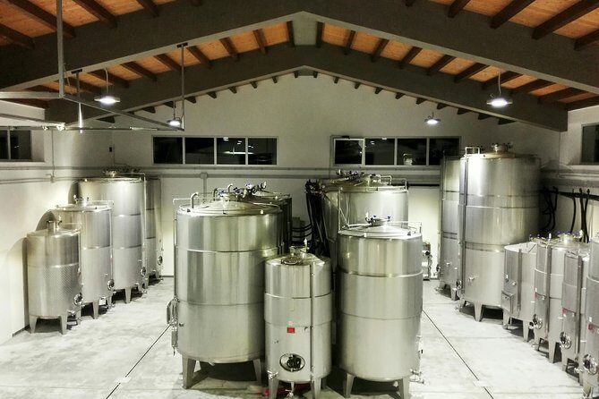 Embark on a Sicilian Wine Journey - Key Highlights You Should Not Miss at Quattrocieli