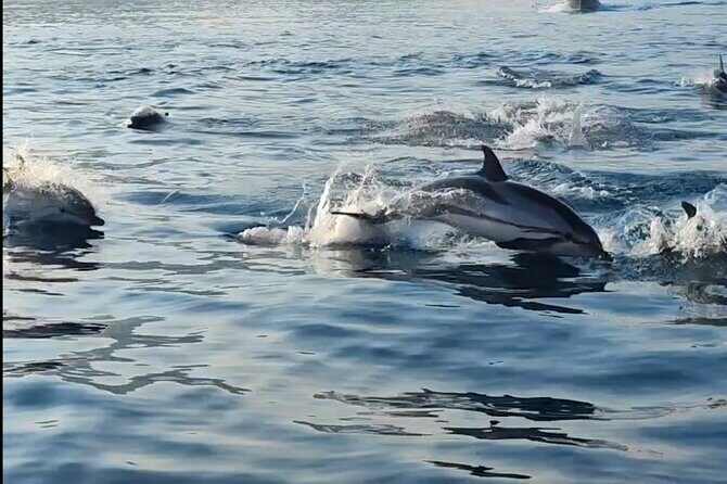 Escursioni in barca Taormina Giardini Naxos Isola bella - Swimming and Snorkeling Safety: What You Can Rely On
