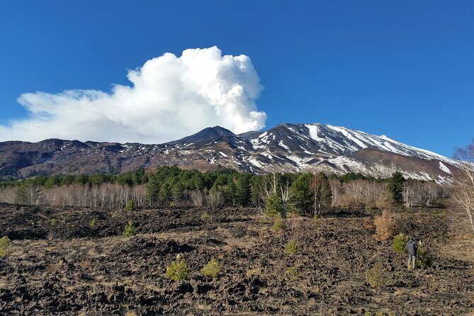 Etna & Alcantara - Stop 2: Piano Provenzana, 2002 Eruption Context, and Honey/Liqueur Tasting