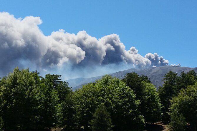 Etna & Alcantara - Stop 3: Gola Dell’Alcantara Gorges and the 25-Meter Basalt Cliffs