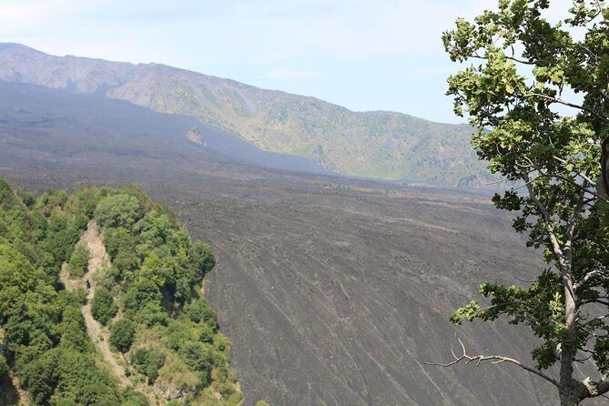 Etna & Alcantara Tour Experience - Colata Lavica 1992: tracing lava ages and walking through the 1991/93 zone