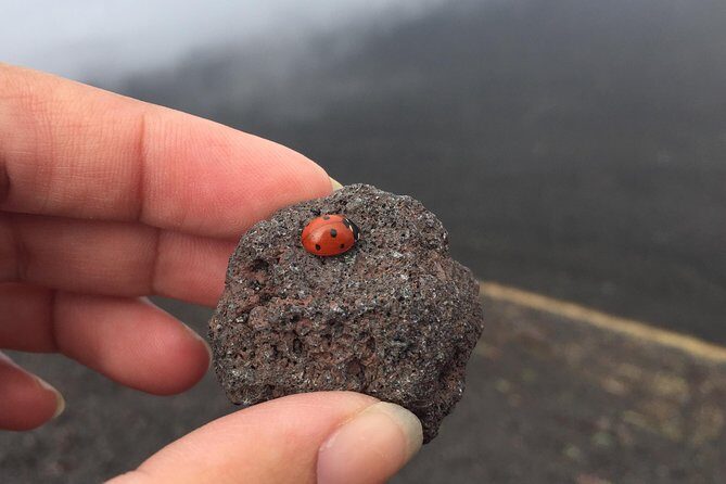 Etna and Wines Tour - Catania pickup and the road to Mount Etna