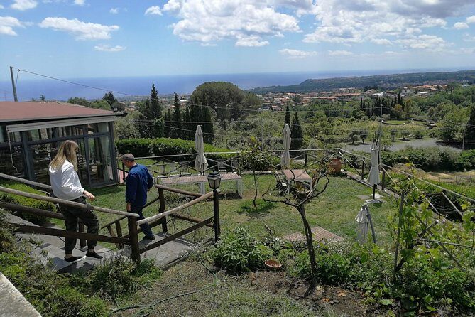 Etna and Wines Tour - Price and value: what $156.38 gets you (and what doesn’t)