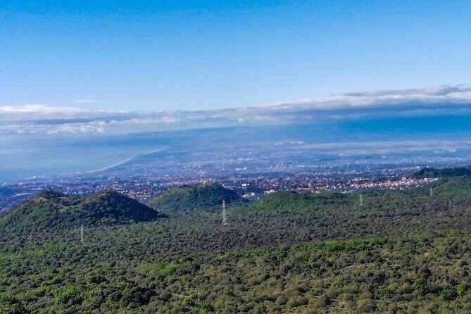 Etna and Wines Tour - Craters Silvestri: 1 hour on ancient ground