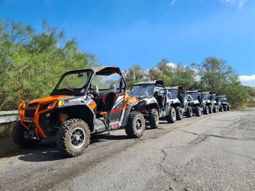 Etna Buggy 4x4 Tour - Price and value: $339.86 per group for up to two