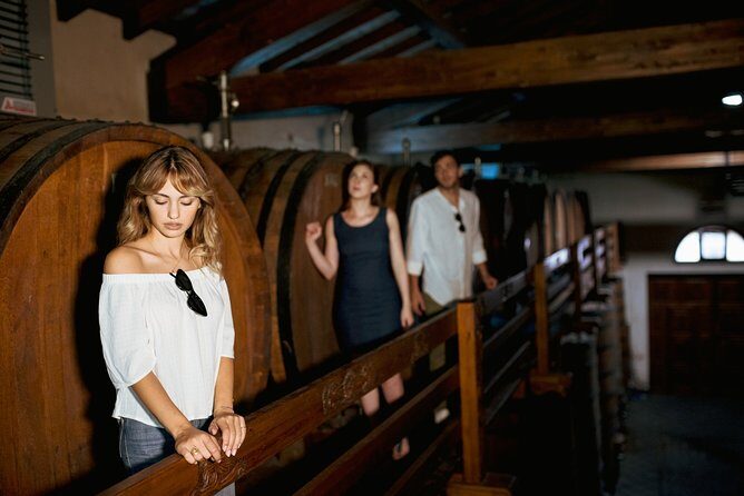 Etna Countryside Food & Wine Lovers Tour (Small Group or Private) - Where This Tour Shines—and Where It Might Not