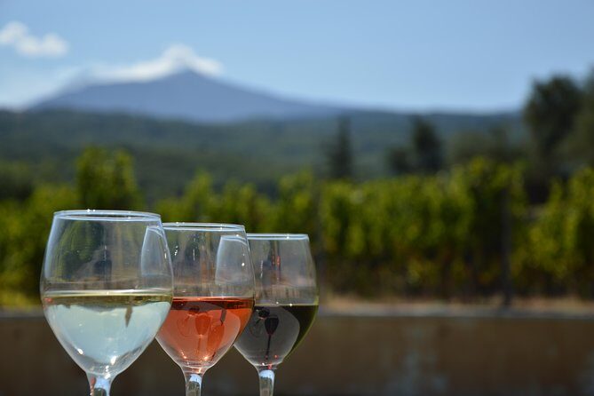 Etna DOC & Organic Wine tasting and tour of the 1815 historic winery - The 1815 Historic Winery: Where the Old Structure Still Has a Job