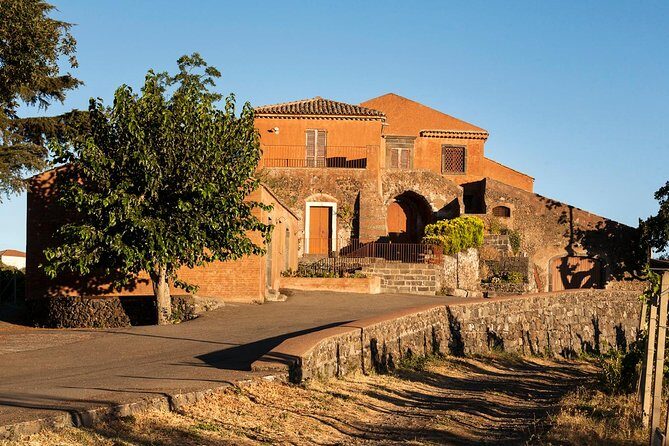 Etna DOC & Organic Wine tasting and tour of the 1815 historic winery - What You Learn About Etna DOC Organic Production (Without Getting Pretentious)