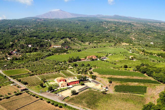 Etna DOC & Organic Wine tasting and tour of the 1815 historic winery - Price and Value: Is $72.25 Worth It?