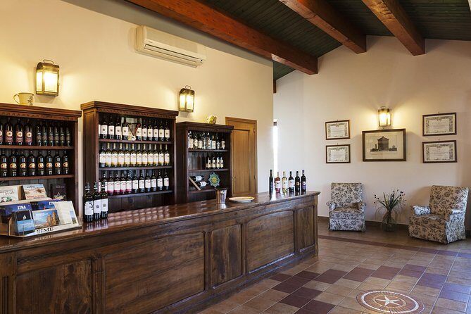 Etna DOC & Organic Wine tasting and tour of the 1815 historic winery - Who This Tour Suits Best (And Who Might Skip It)