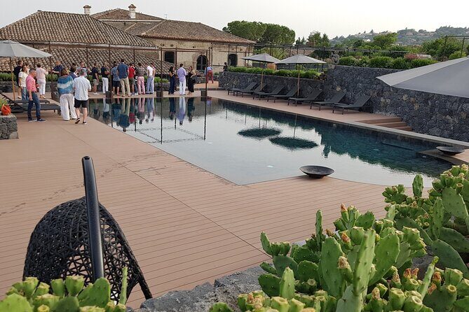 Etna Easy & Winery from Messina, Catania or Taormina/G. Naxos - Stop 2: Cantine Murgo and the refined cellar visit