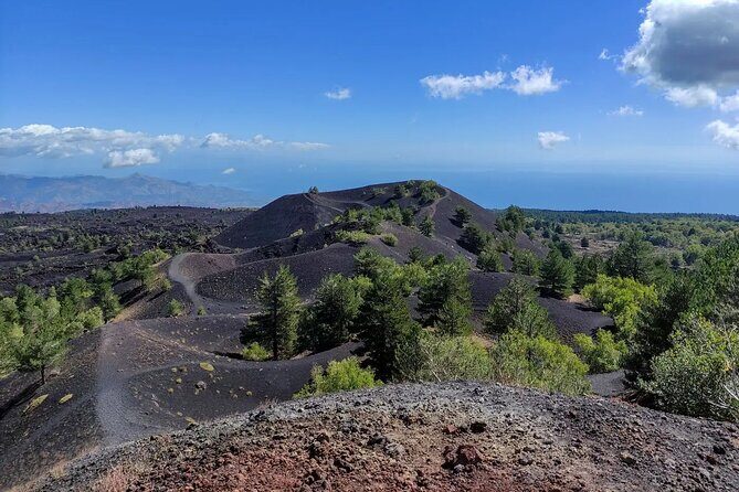 Etna excursion and wine tasting with Sicilian lunch - First Stop: Getting Up Into Etna’s Volcanic Playground