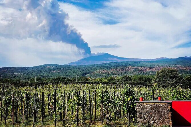 Etna excursion and wine tasting with Sicilian lunch - Vineyard Visit: Why It Matters After You’ve Walked the Volcano